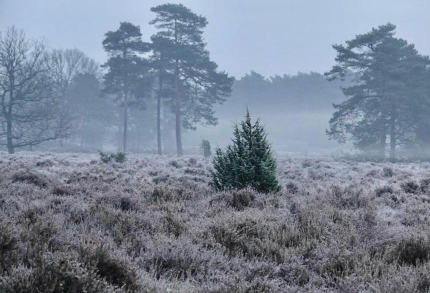 Апартаменти Schaapskooi 20 Двінґело Екстер'єр фото